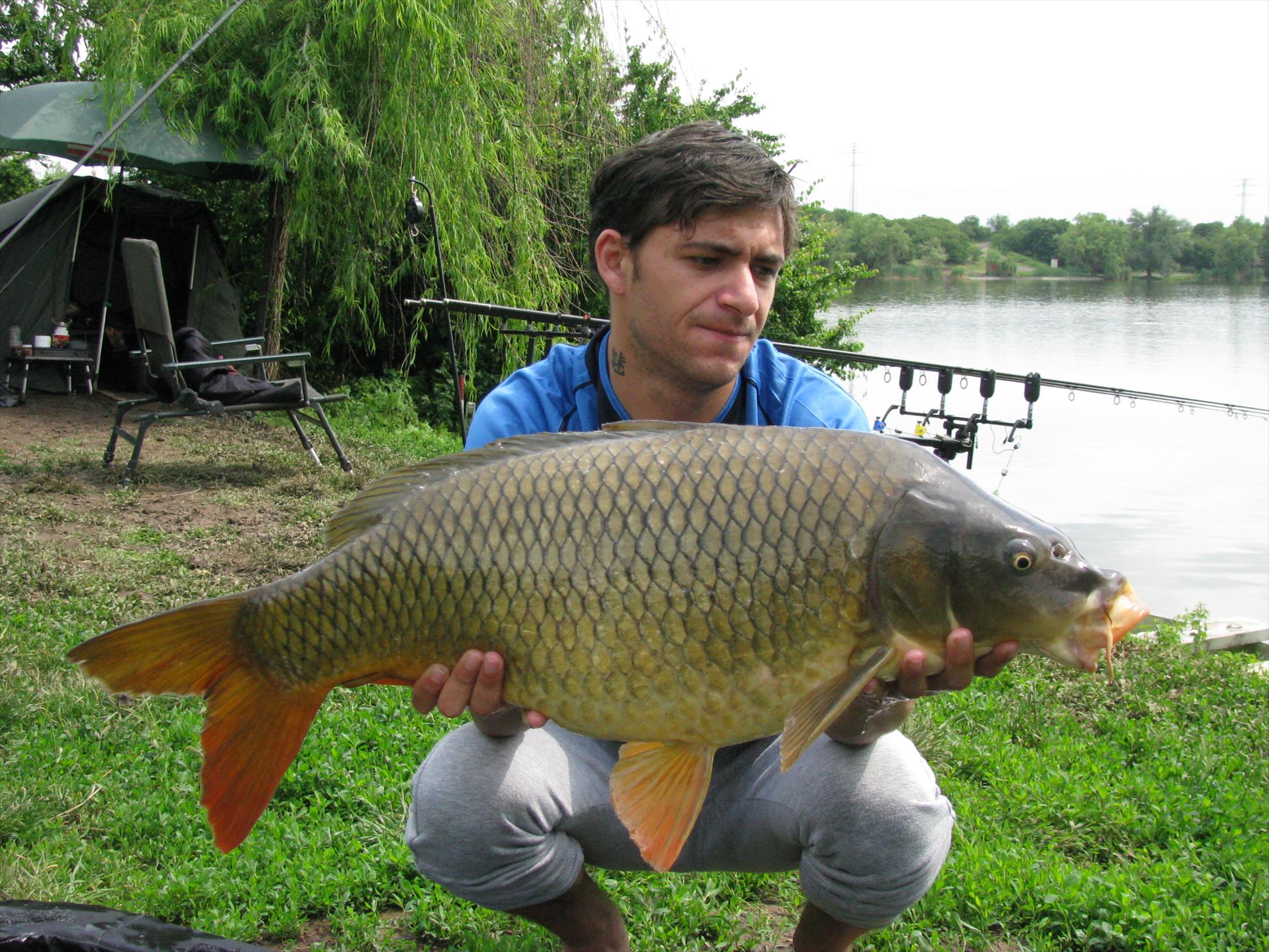 Poze 19-21.05.2012 Tancabesti Avicola 2 - img0154.JPG